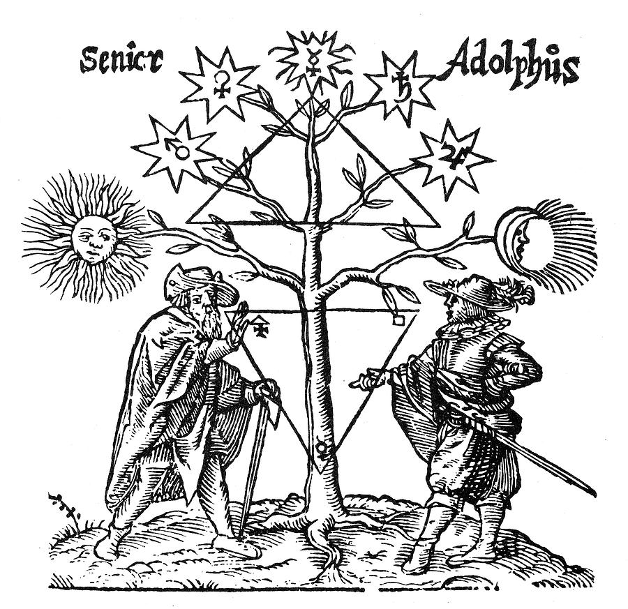 The Tree of Knowledge and The Christmas Tree Adept Initiates